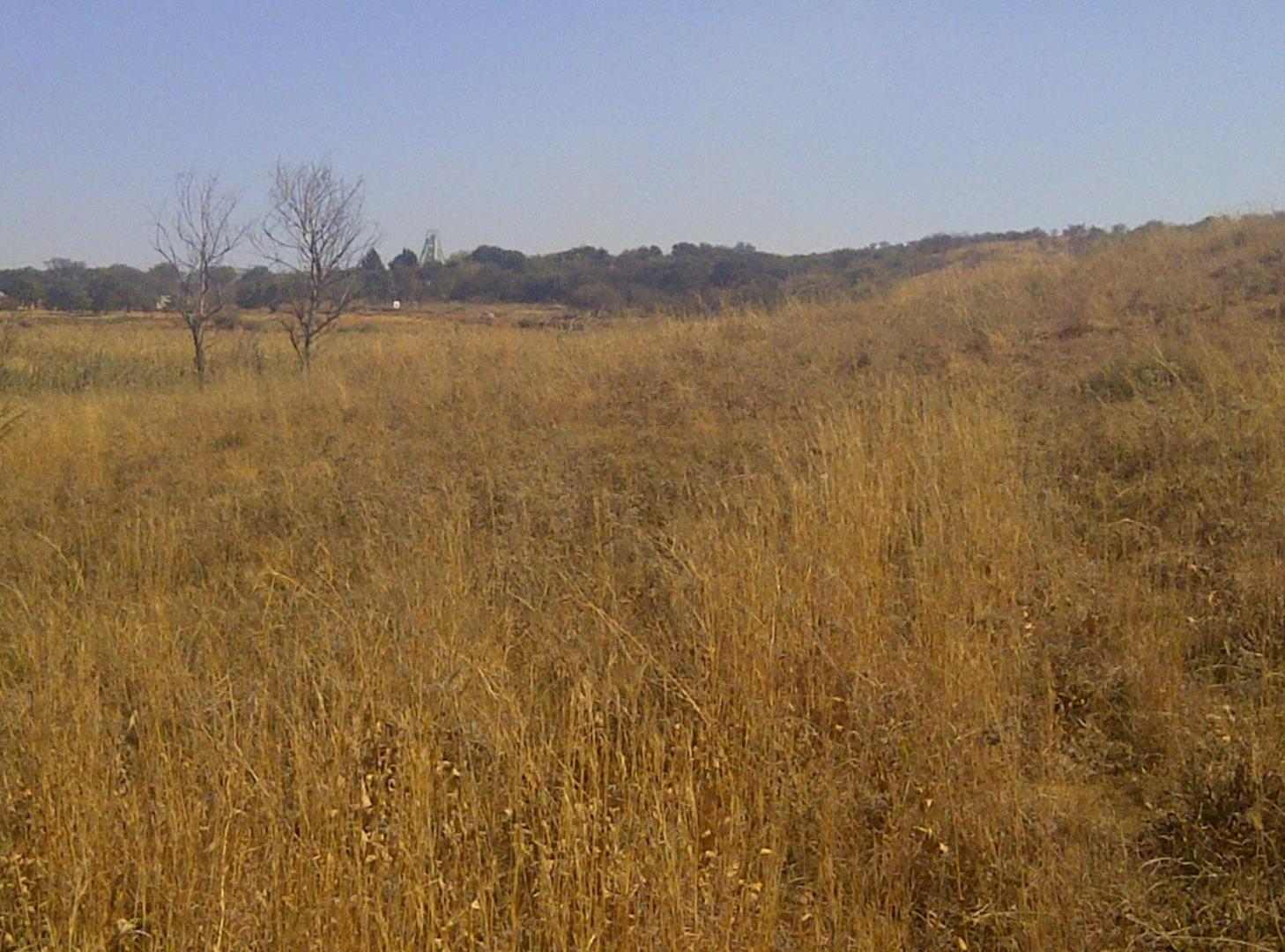 768834_WhatsApp_Image_2026-08-20_at_6.23.11_AM.jpeg