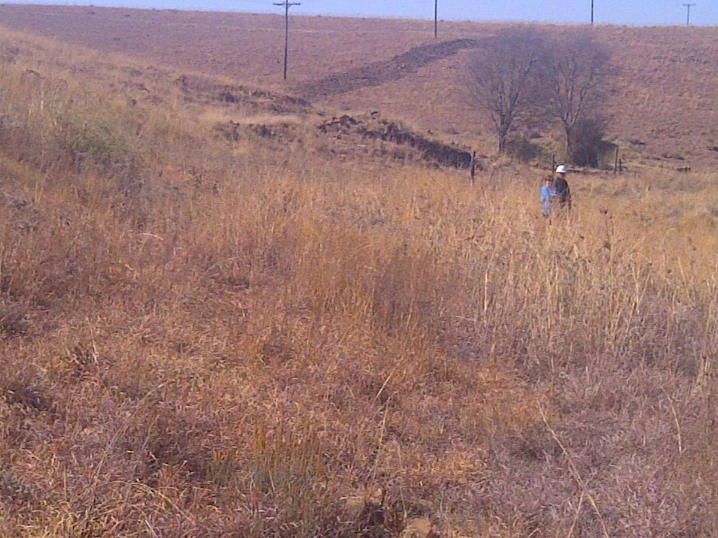 768834_WhatsApp_Image_2026-08-20_at_6.23.12_AM_(2).jpeg